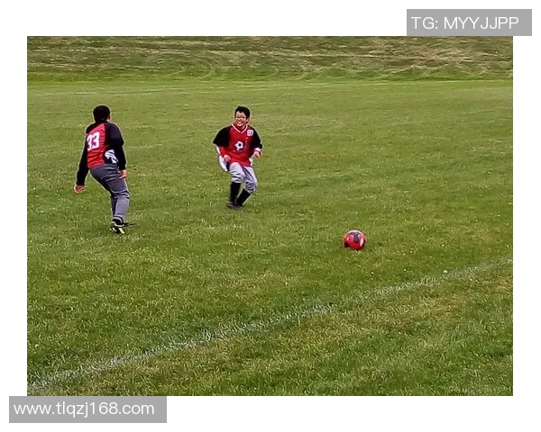 卡尔足球星的成长历程与辉煌成就深度解析